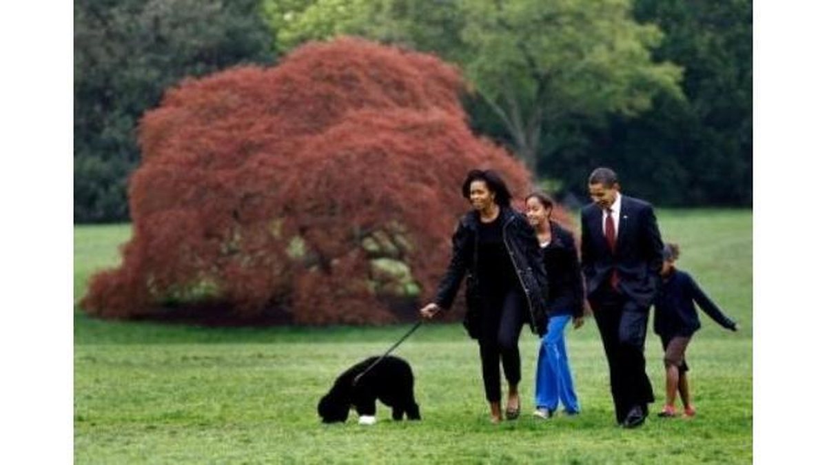 Imagem Michelle Obama admite: ‘Vivo como mãe solteira’