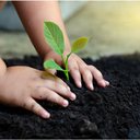 É fundamental que seu filho brinque ao ar livre - iStock