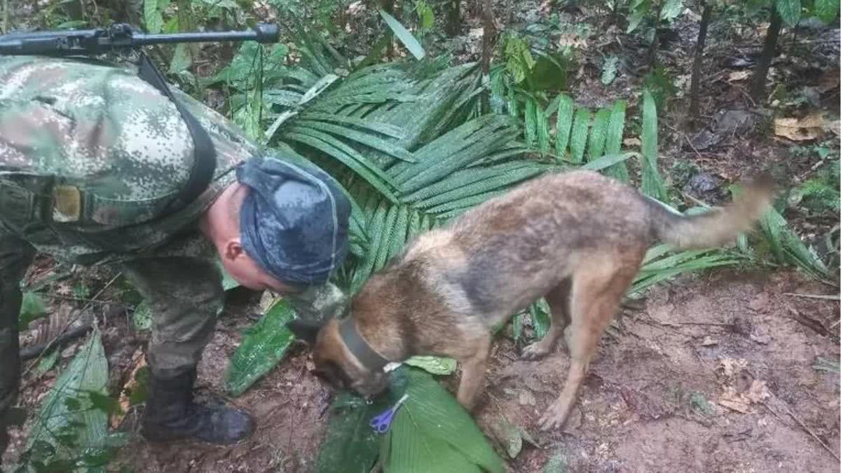 As buscas pelas quadro crianças perdidas em acidente aéreo na Amazônia colombiana completam 18 dias - Reprodução/Fuerzas Militares de Colombia