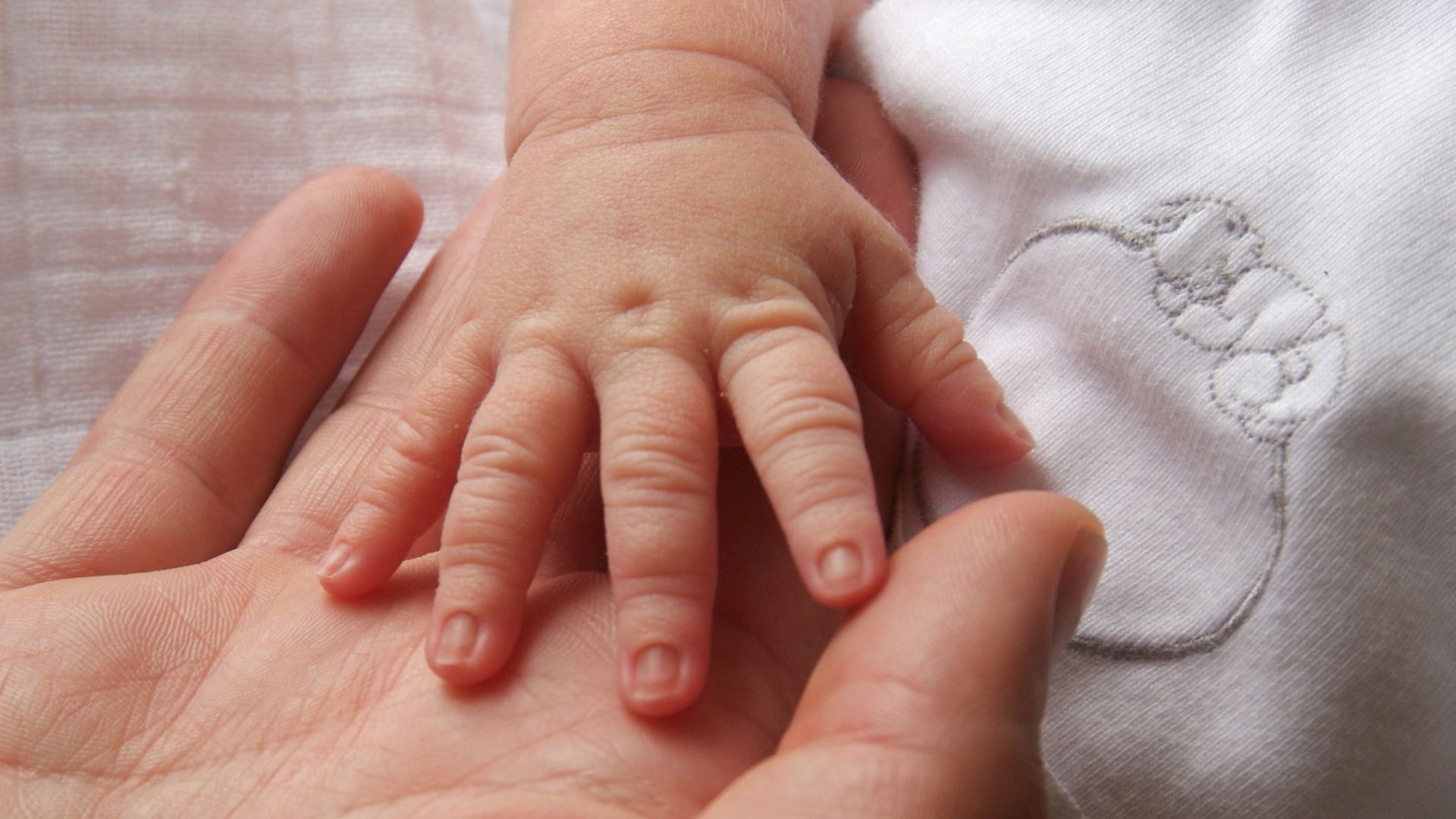 Mão de bebê na mão da mãe