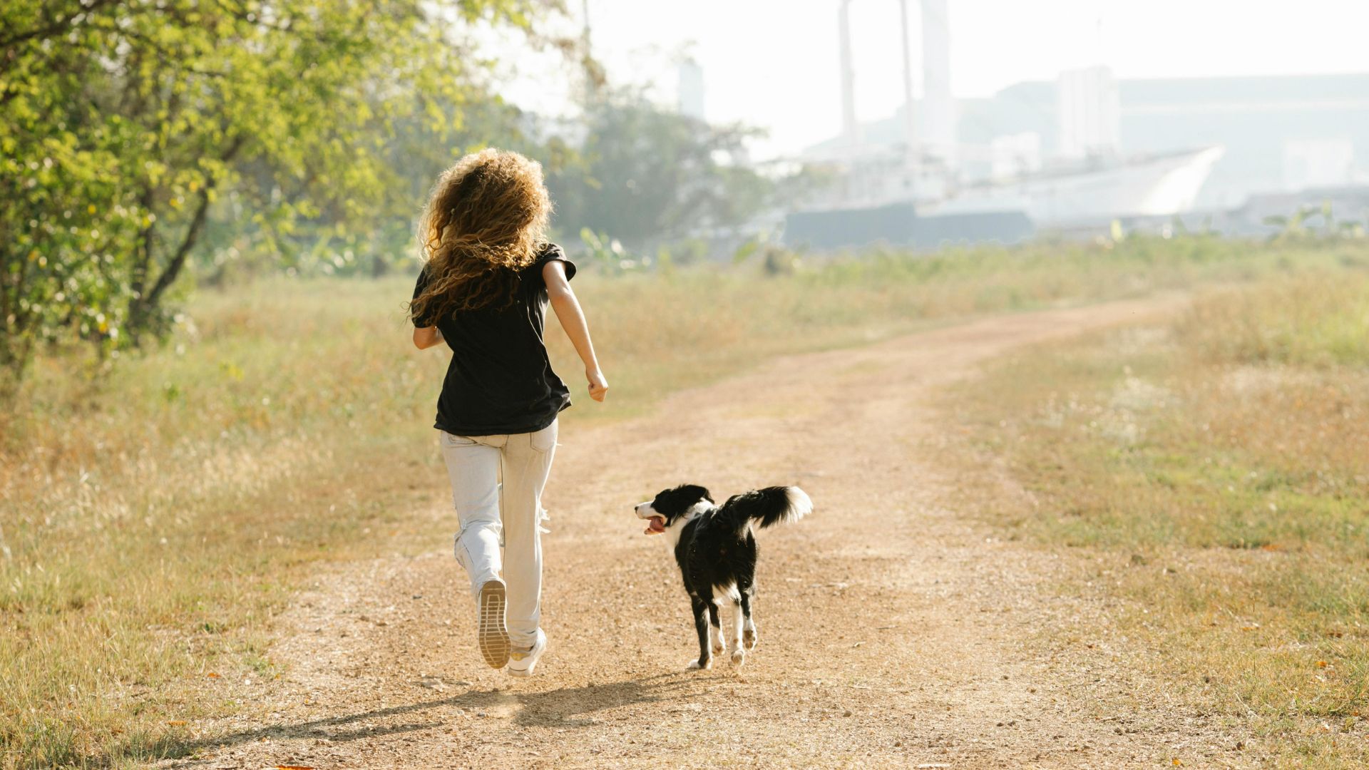 Cachorro correndo com dona