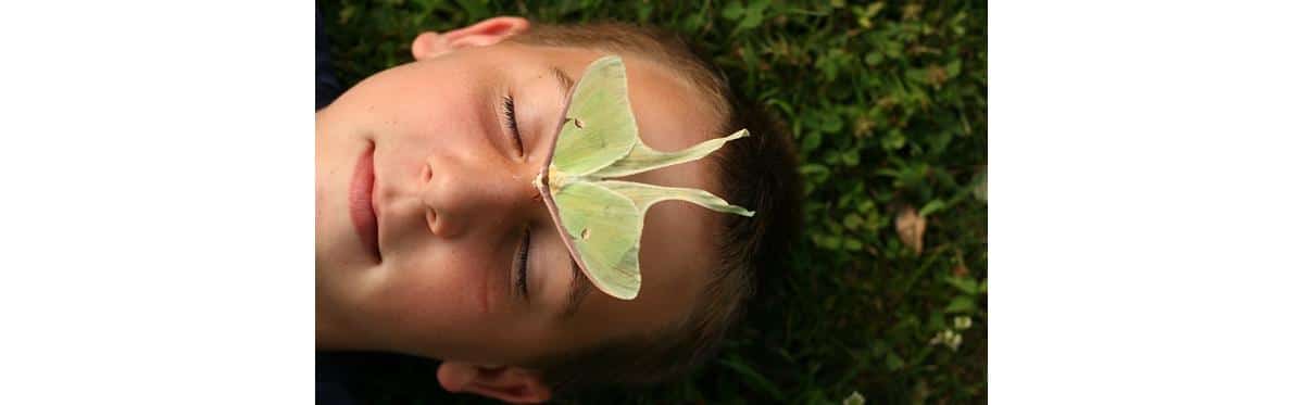 38 – Cuidado para não atrapalhar o desenvolvimento do seu filho!