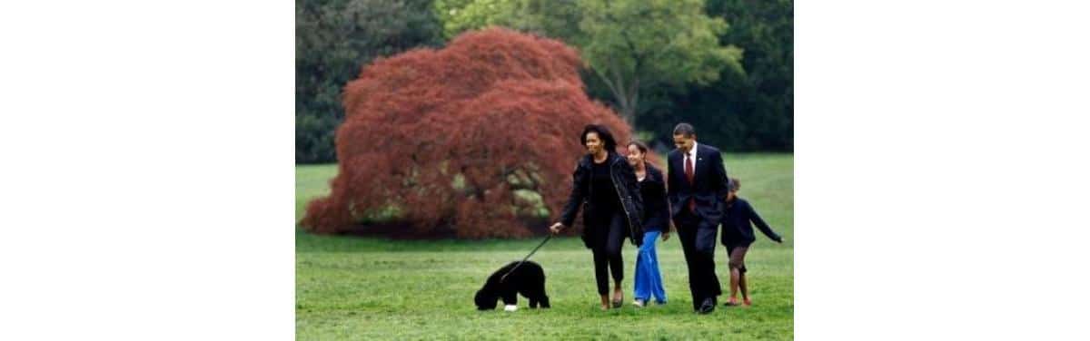 Michelle Obama admite: ‘Vivo como mãe solteira’