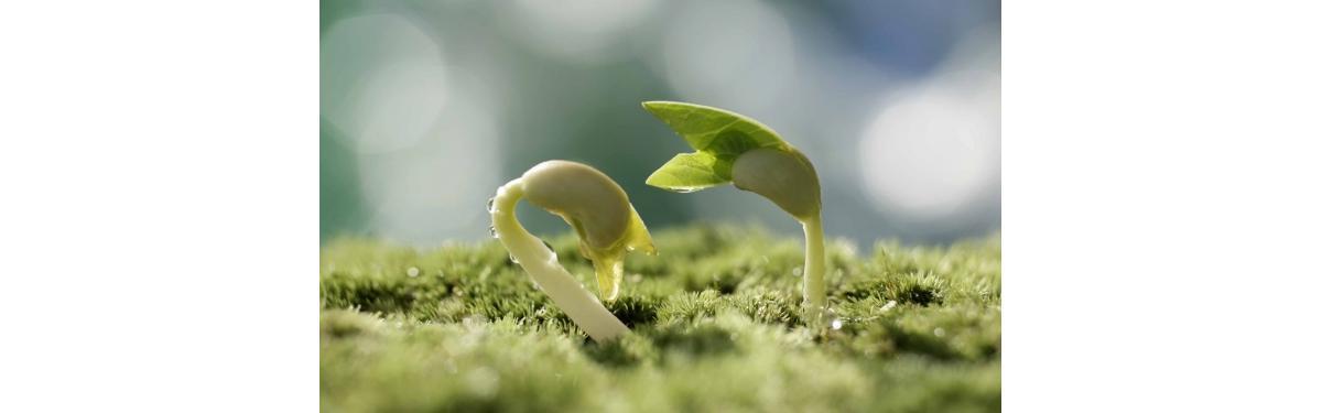 No começo era o hormônio na geladeira