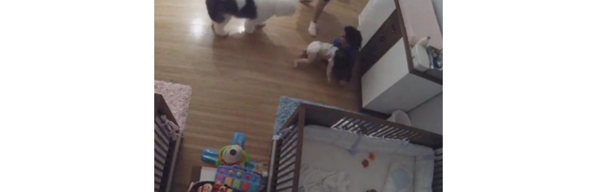 Menino de 9 anos salva irmão da queda do trocador