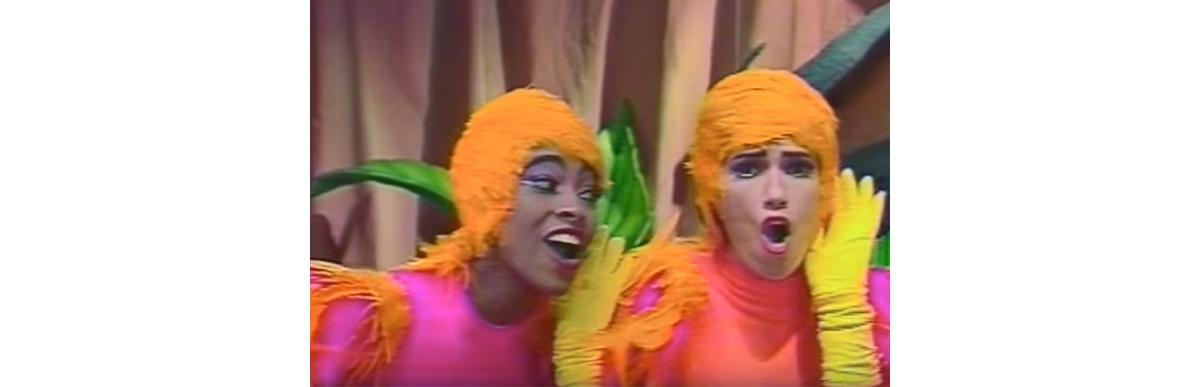 Aumente o som: passarinho que som é esse?