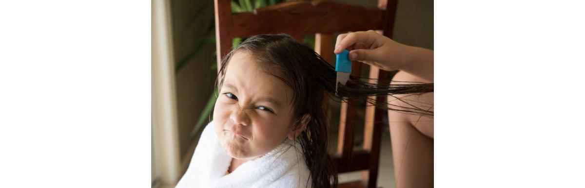 Piolhos: 9 razões para você não perder a cabeça (sério!)