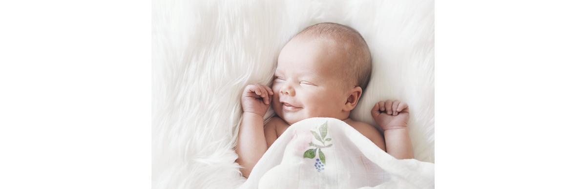 Novidade nas certidões da Tasmânia