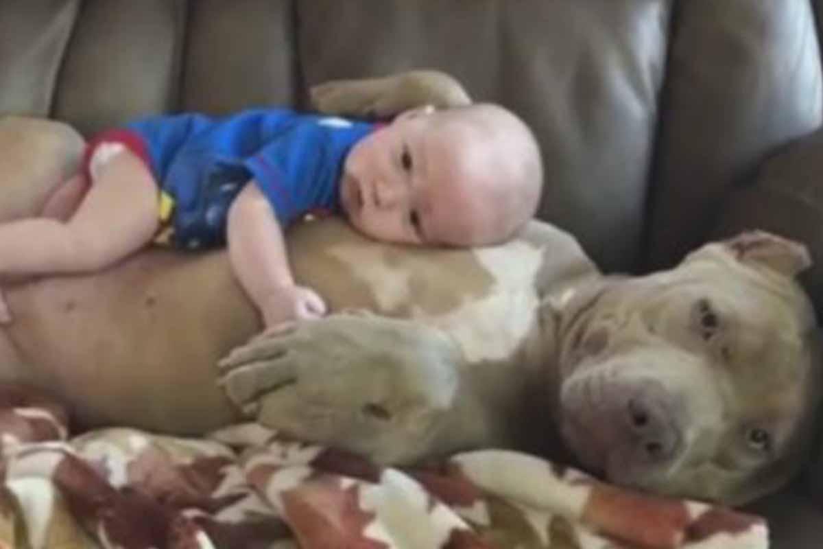 14 fotos divertidas de bebês que não saíram como o esperado