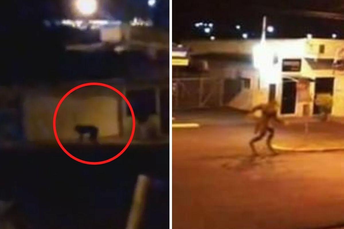 A publicação viralizou nas redes sociais