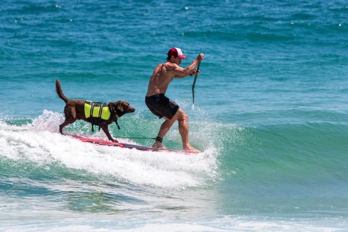Bono é um excelente surfista, e já até quebrou recordes!