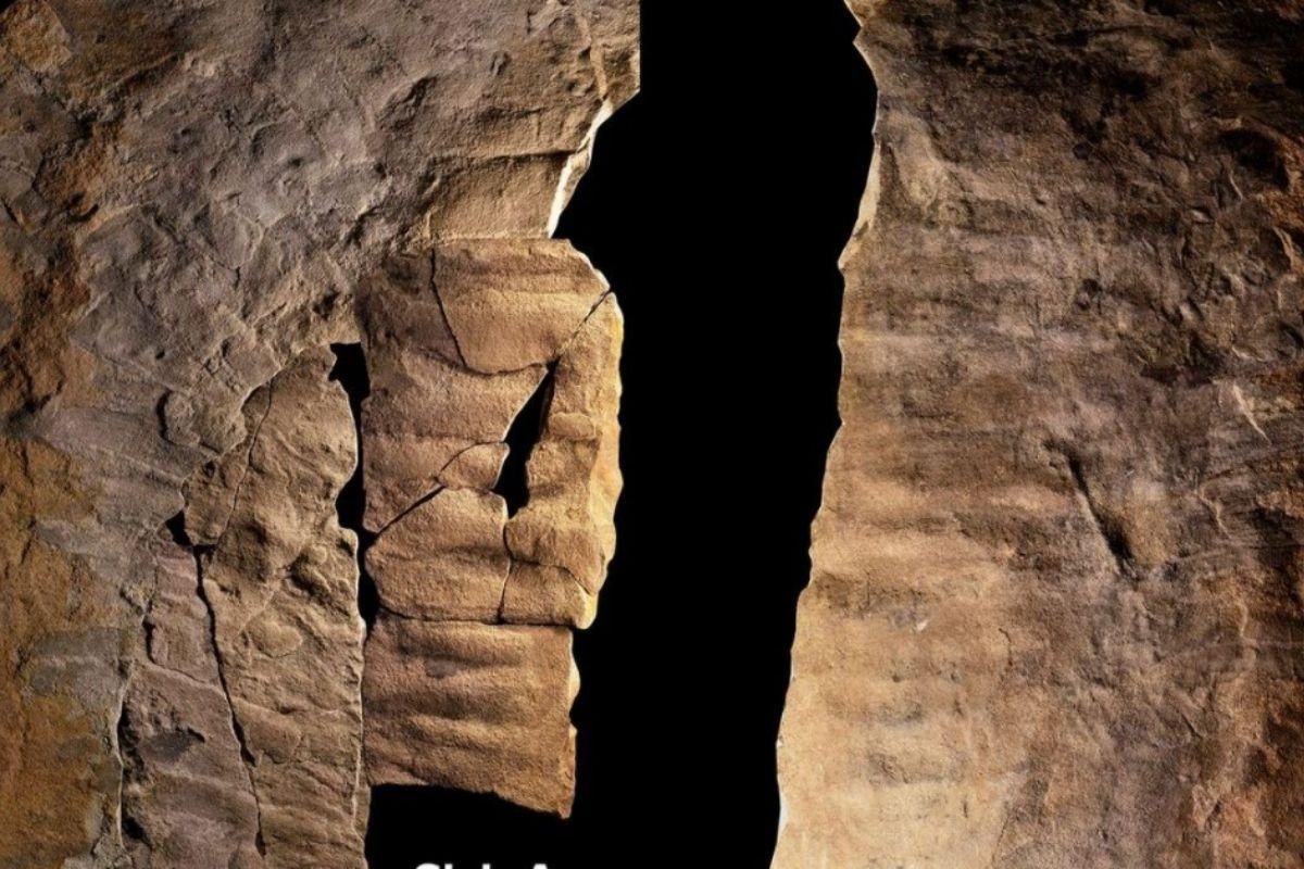 Fóssil de maior inseto do mundo é encontrado