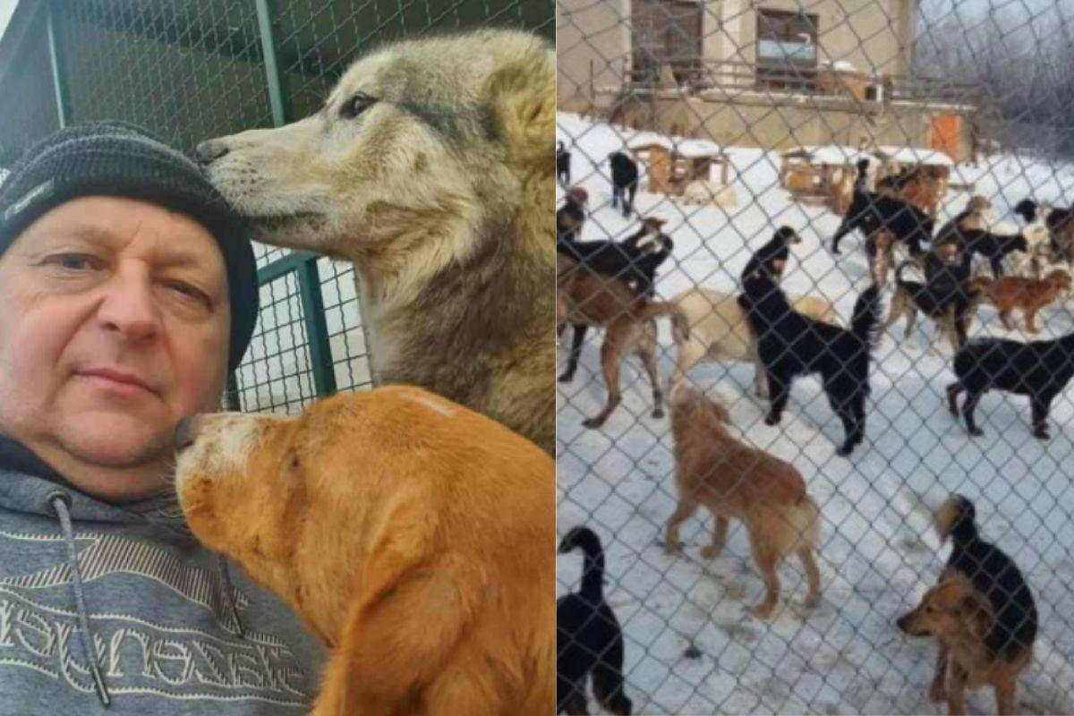 Homem resgata animais de rua