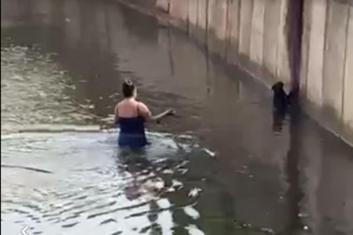 Mulher salva cachorro de piscinão