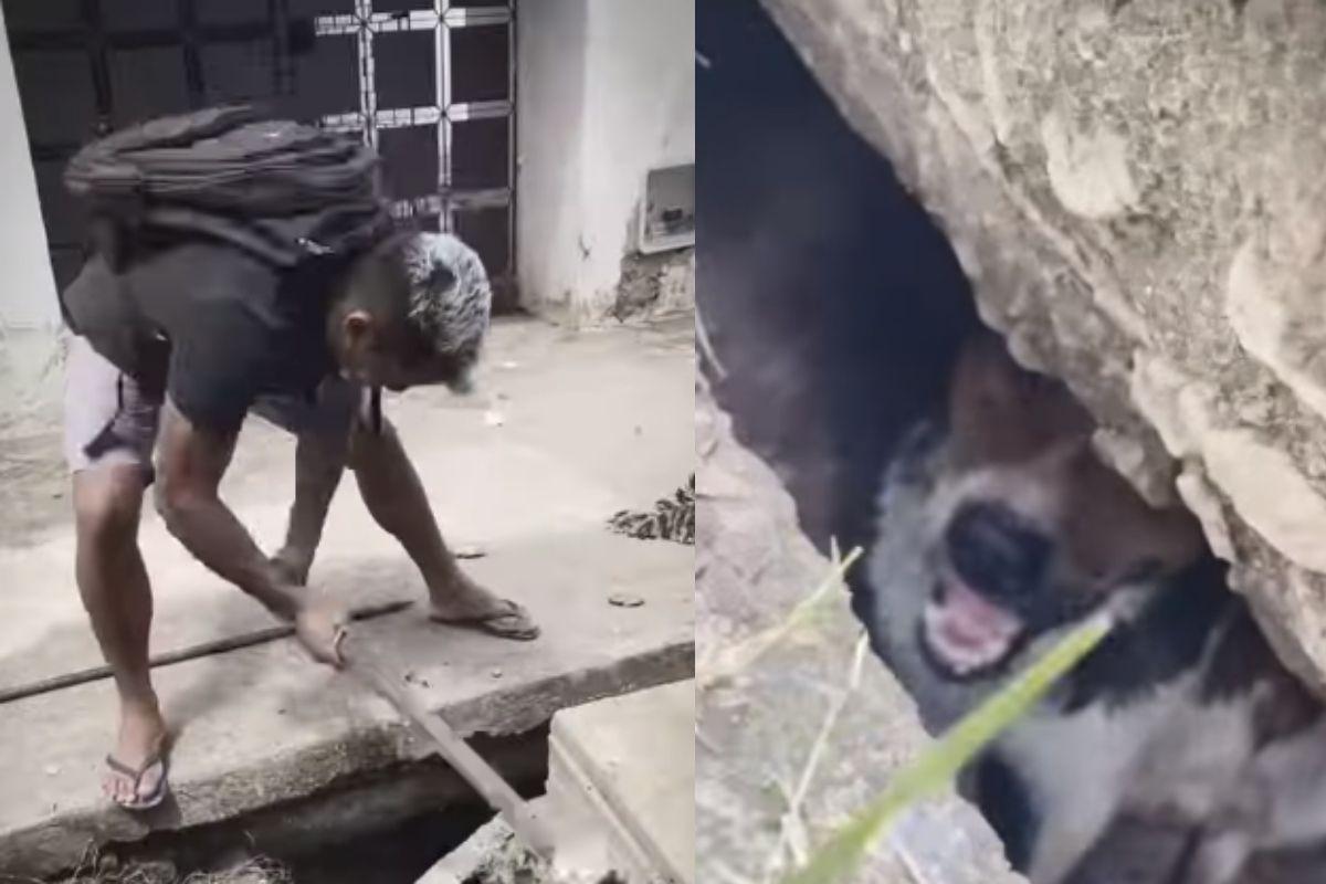Moradores ajudam cachorro sair do bueiro