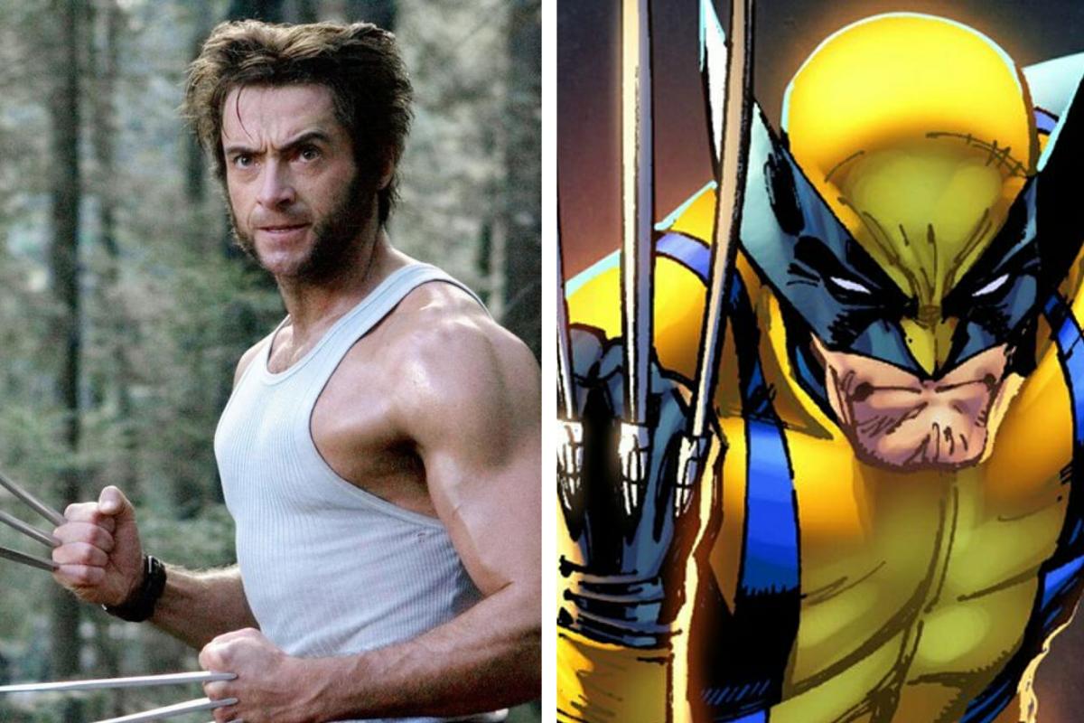 Animal que inspirou na criação do Wolverine é flagrado nos EUA