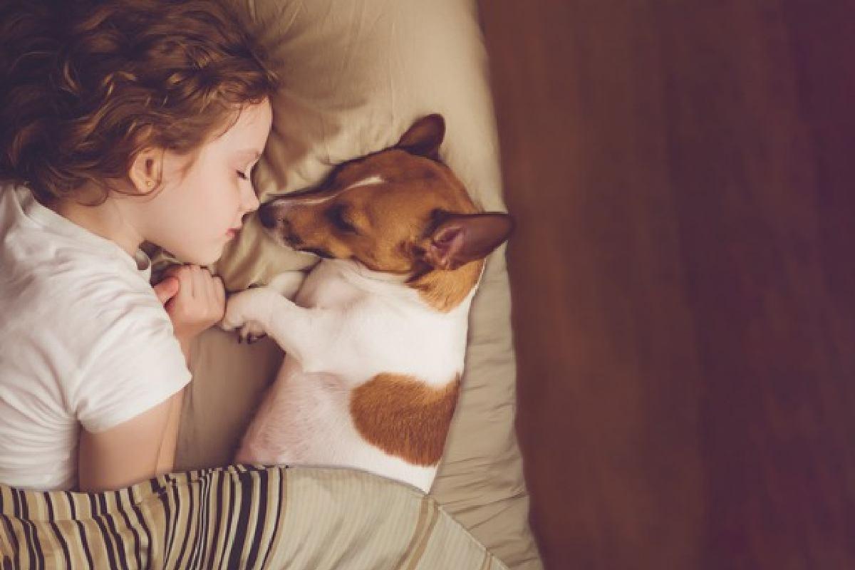 Criança de 2 anos começa agir como cachorro e mãe se preocupa