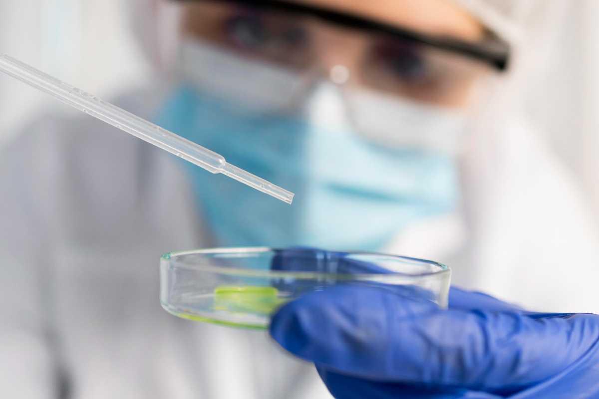 Os casos foram confirmados por um laboratório do Centro Colaborador da Organização Mundial da Saúde