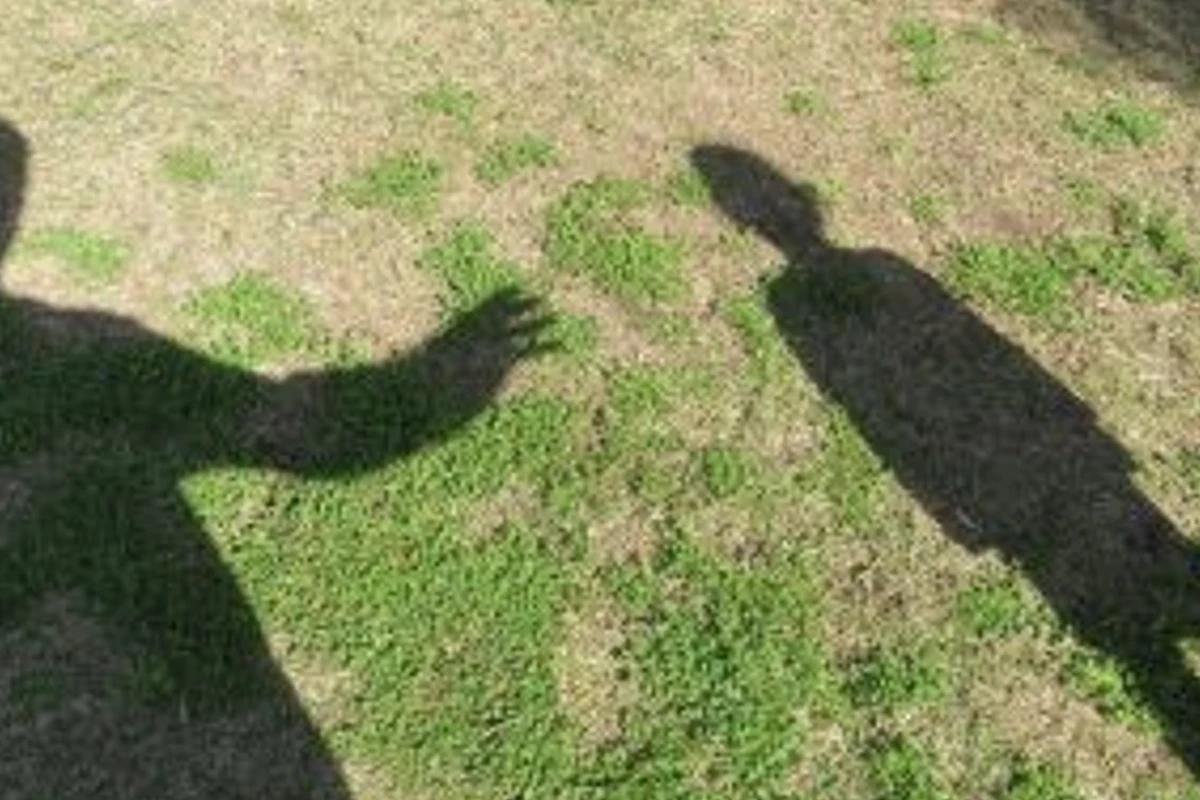 A menina foi levada enquanto a mãe estava distraída