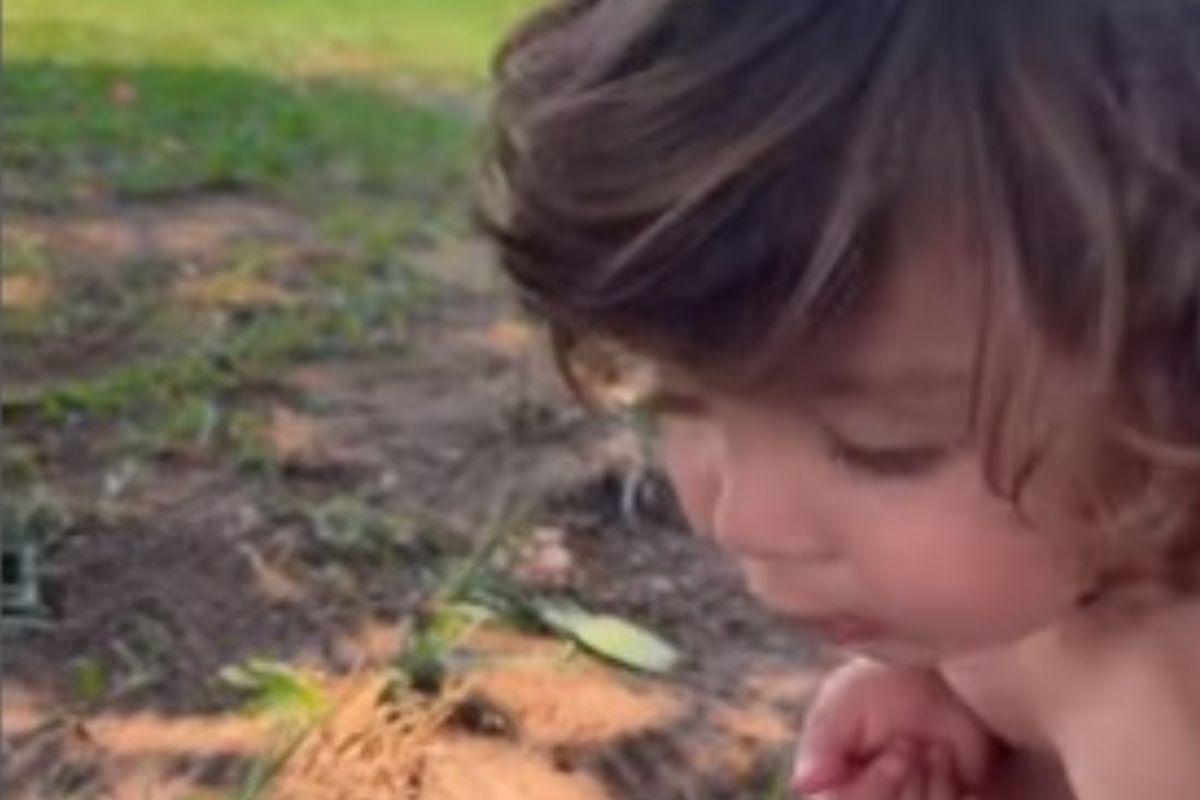 Mãe conta a história de como foi morar na natureza por 1 ano com a família