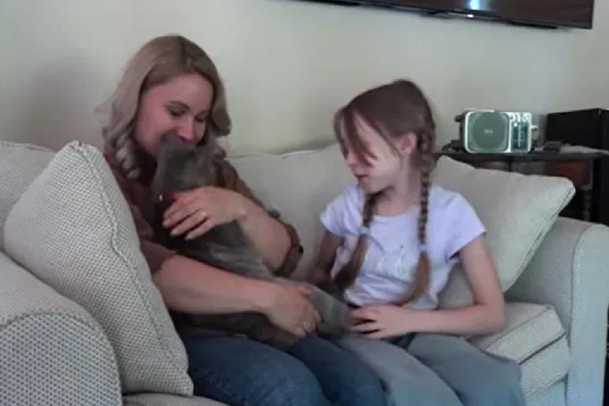 Agnessa se reencontrou com seu gato, Arsenii