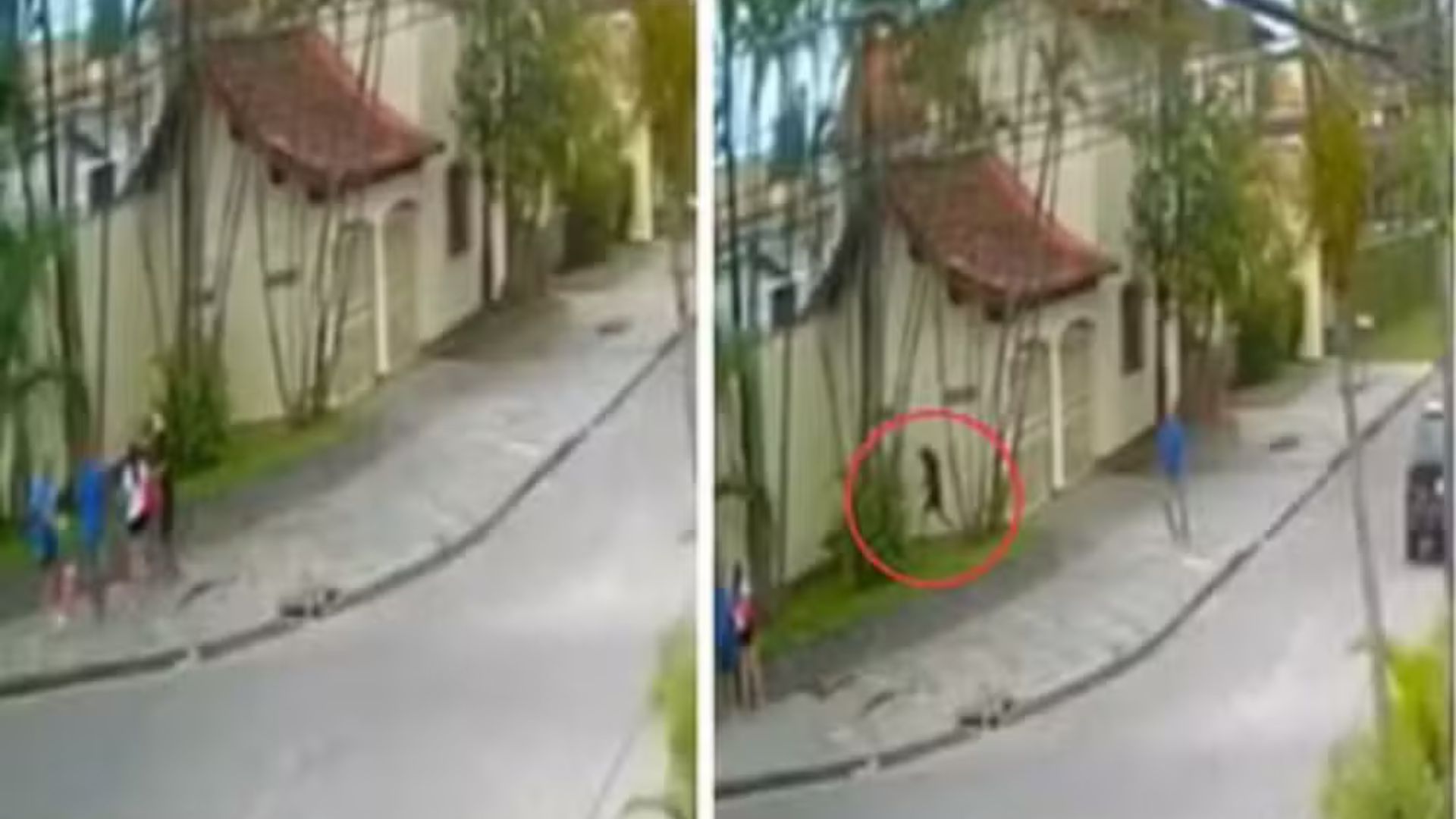 Casa havia chego na cidade há poucas horas