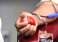 Dia Nacional do Doador de Sangue: saiba os requisitos básicos para se tornar um doador