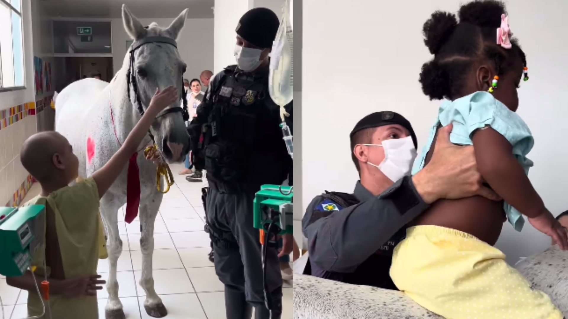 crianças com cavalos
