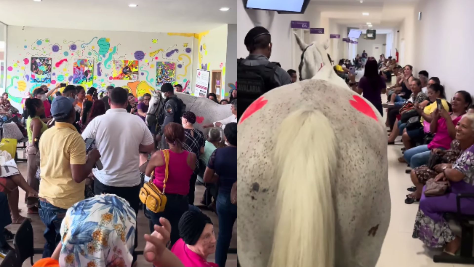 presença da cavalaria