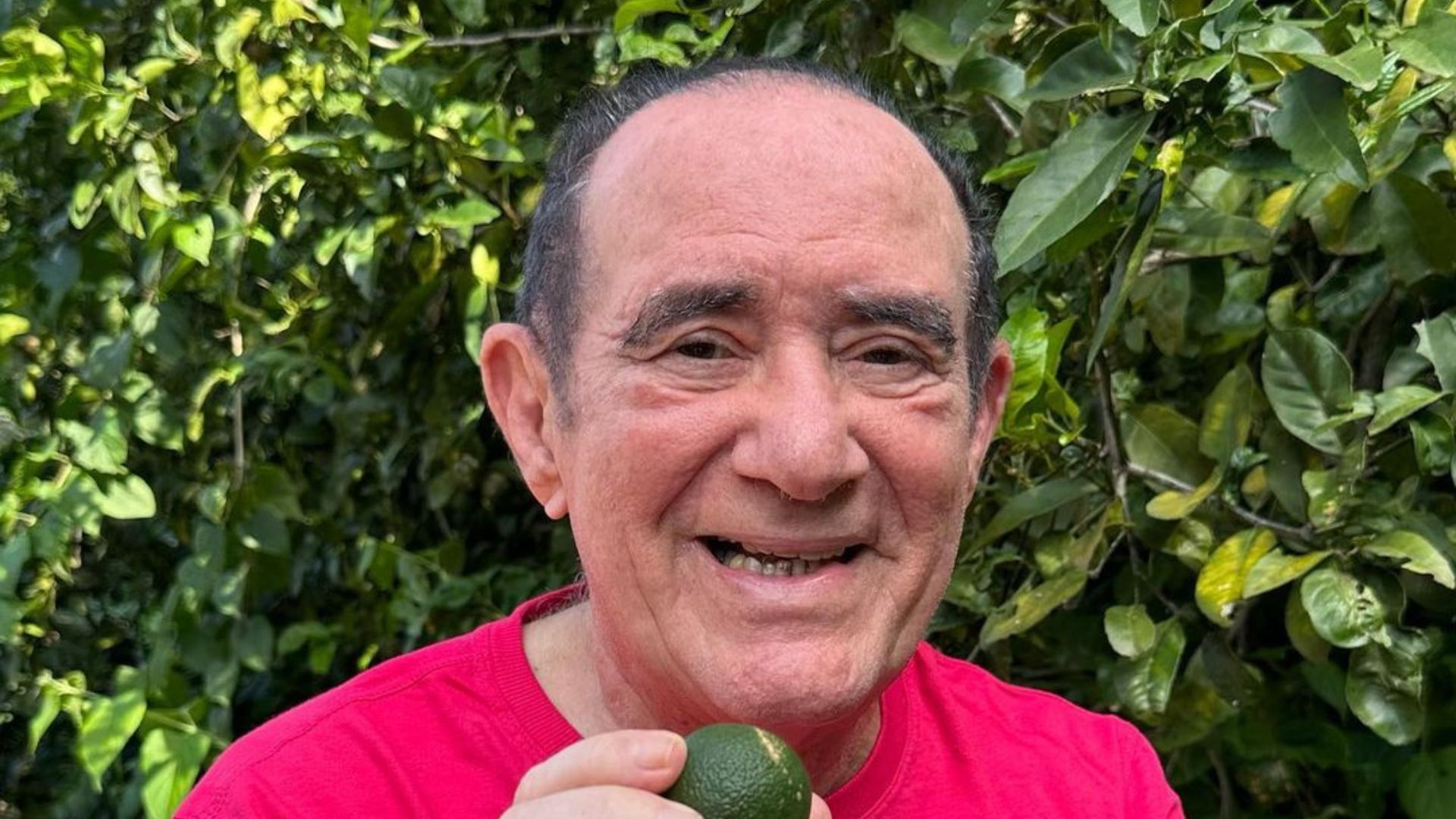 Renato Aragão