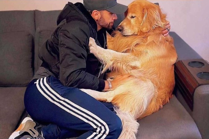 Tutor e seu cachorro brincando