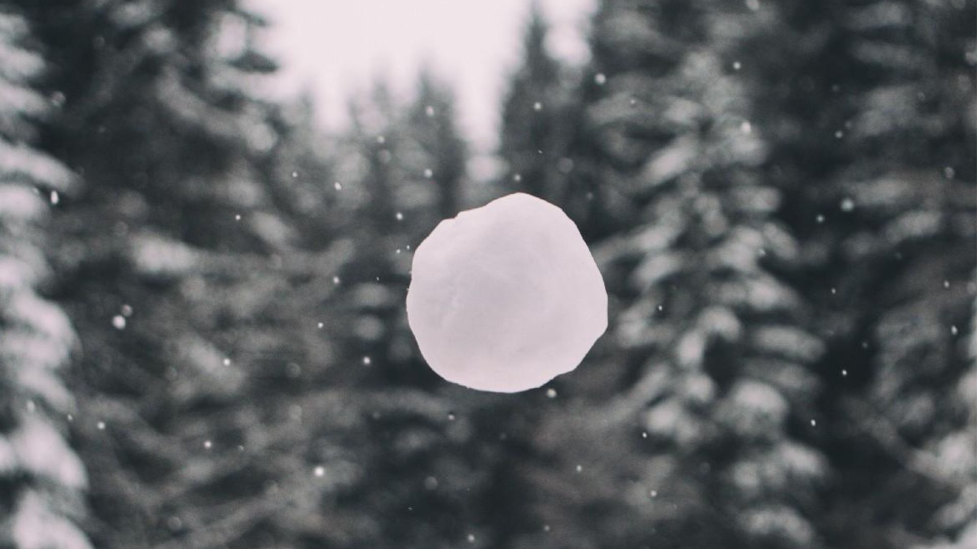Floco de Neve