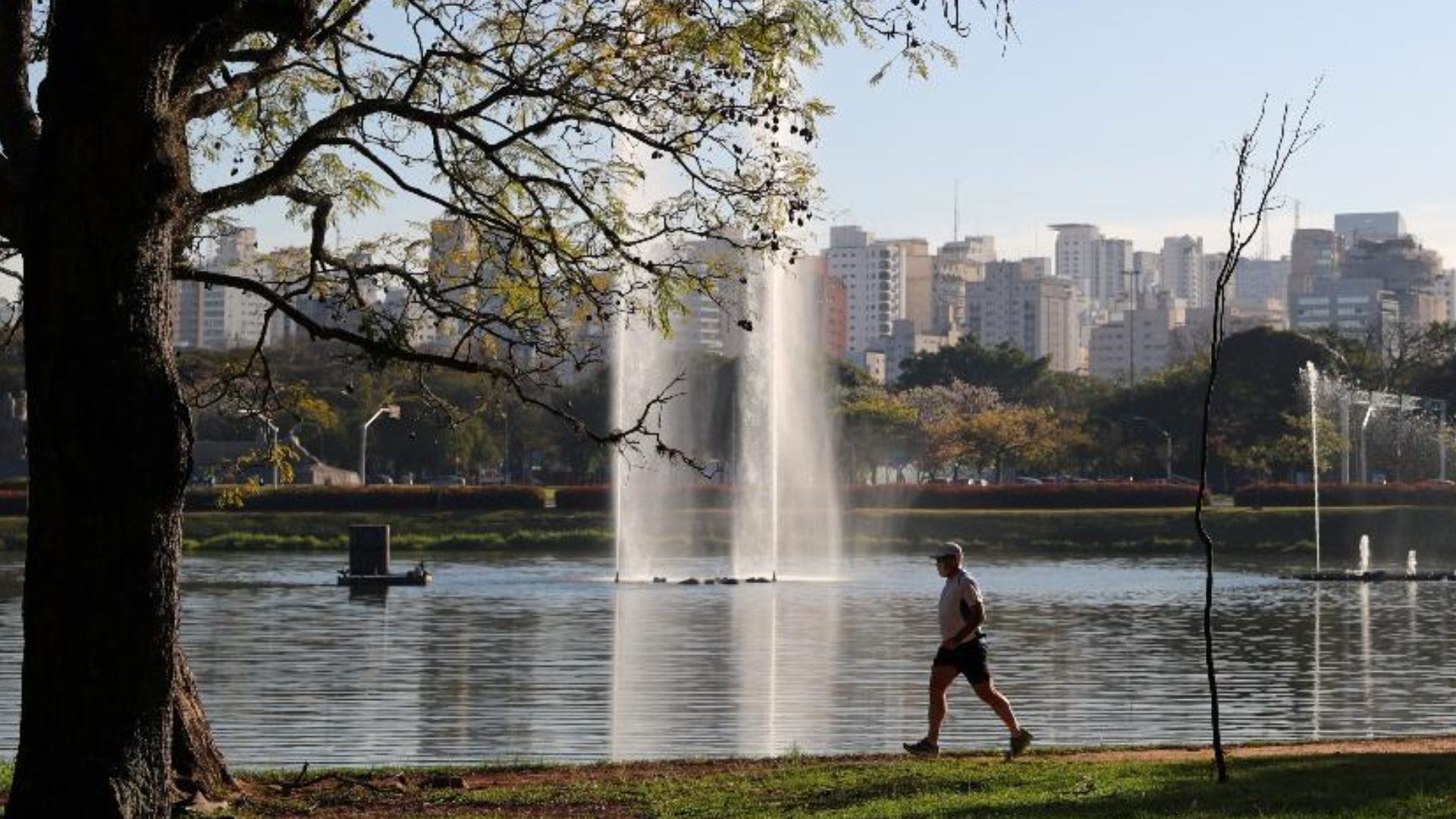 Parque Ibirapuera