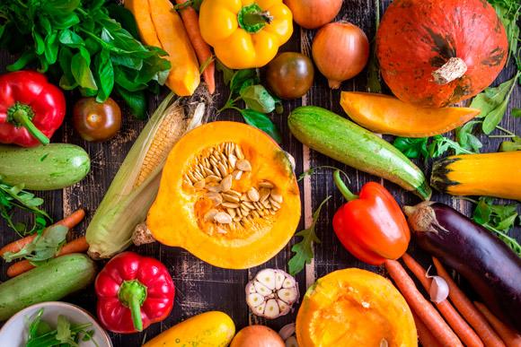 Garotinha norte-americana comprovou em experiência os malefícios dos agrotóxicos (Foto: Shutterstock)