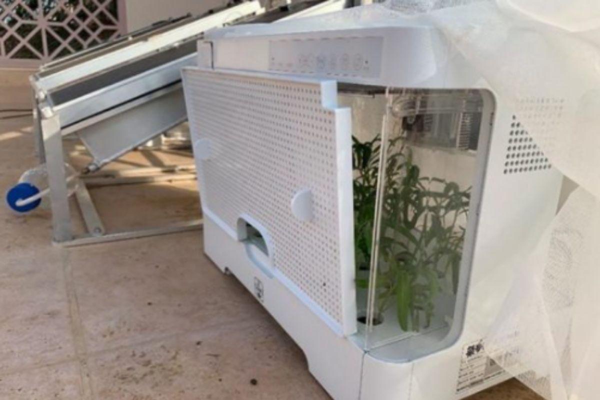 Pesquisadores desenvolvem tecnologia que produz água no deserto