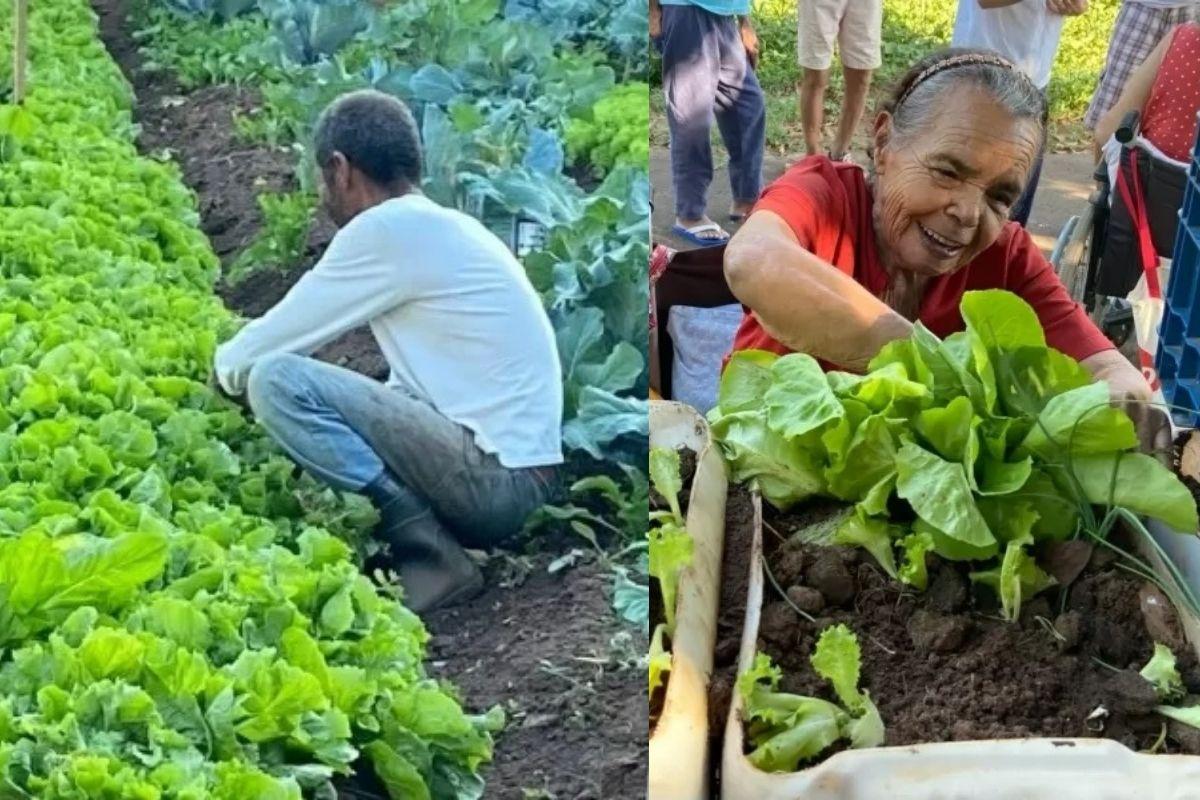 Os idosos se sentem felizes em poder contribuir com a horta