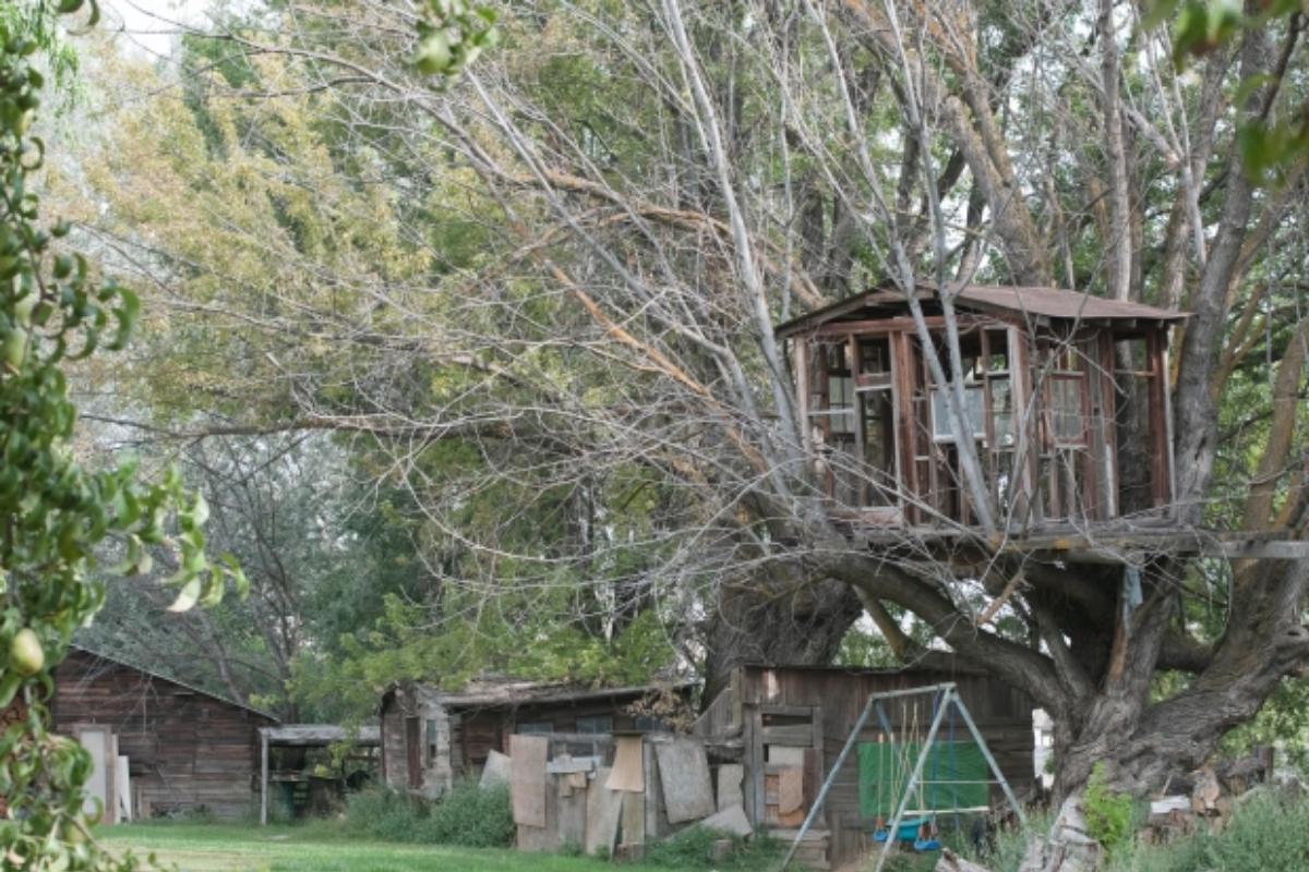 Casa na árvore