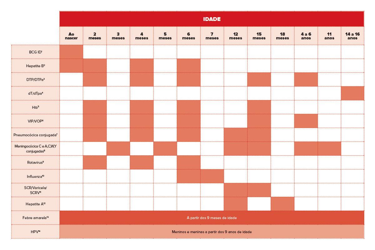 Veja o calendário completo de vacinação da criança