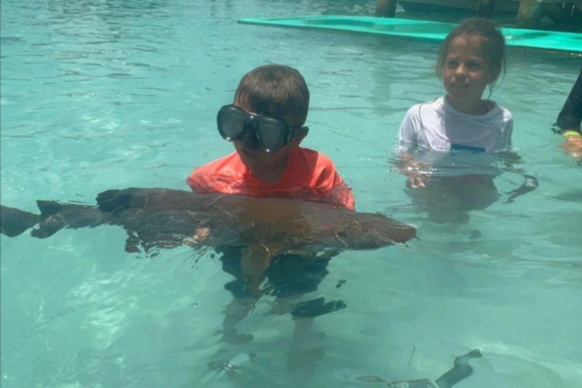 O menino estava passeando com os pais em uma excursão marítima quando o acidente aconteceu