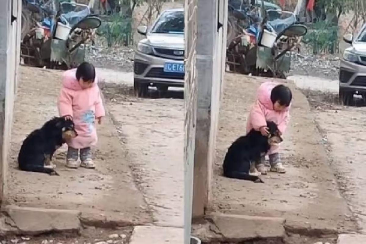 Menina de 2 anos viraliza ao tapar orelha de cachorro de rua para protegê-lo de fogos de artifício