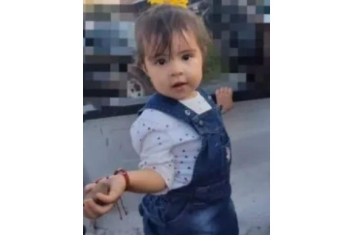Criança morre ao comer biscoito envenenado que seria dado a um cachorro