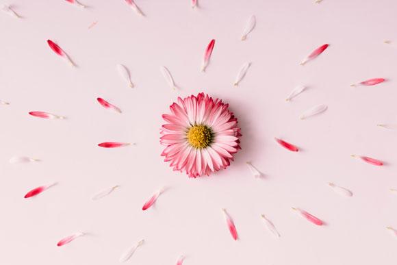 shutterstock_384456961_