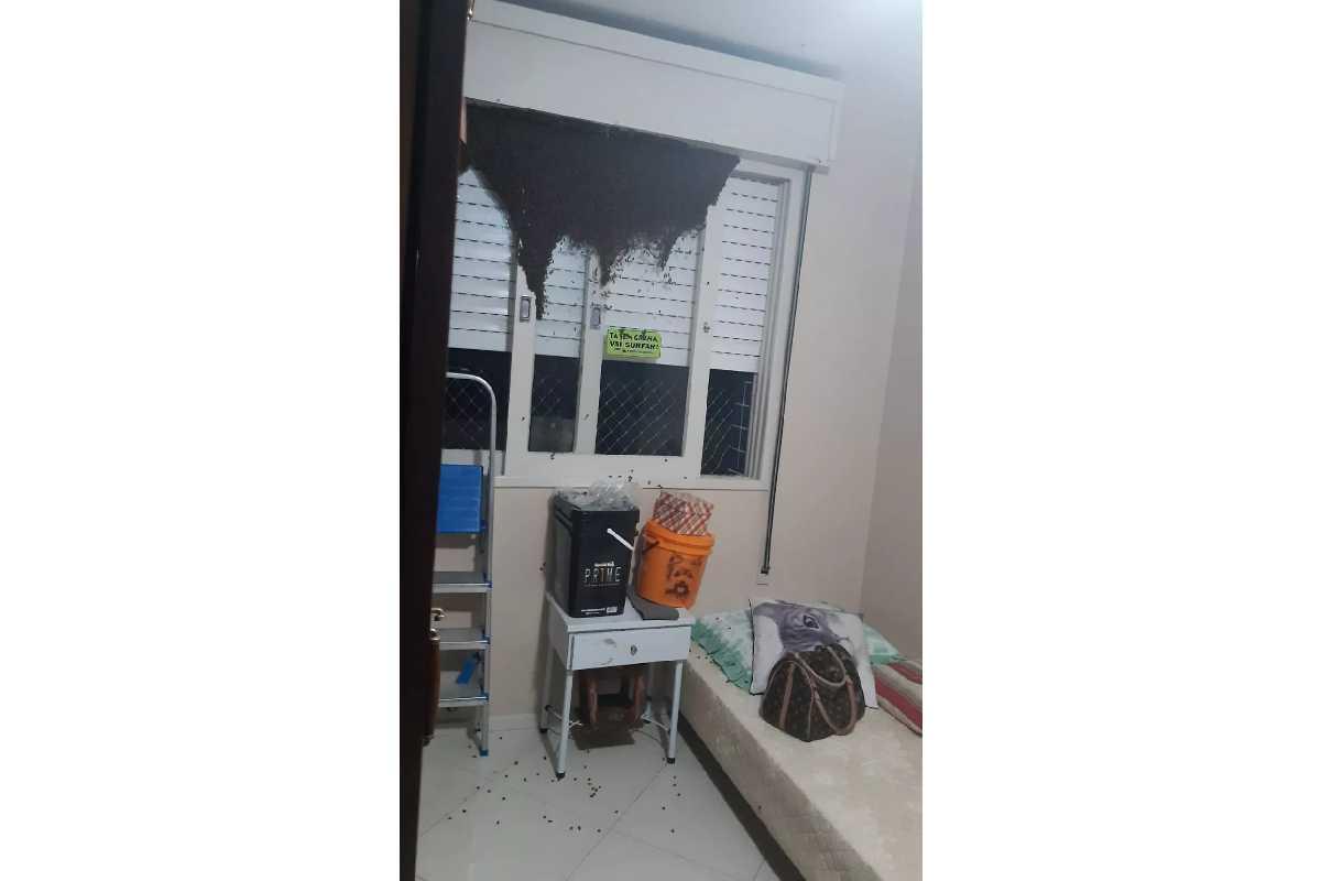 Enxame de abelhas chama atenção de moradora e ela precisa acionar bombeiros