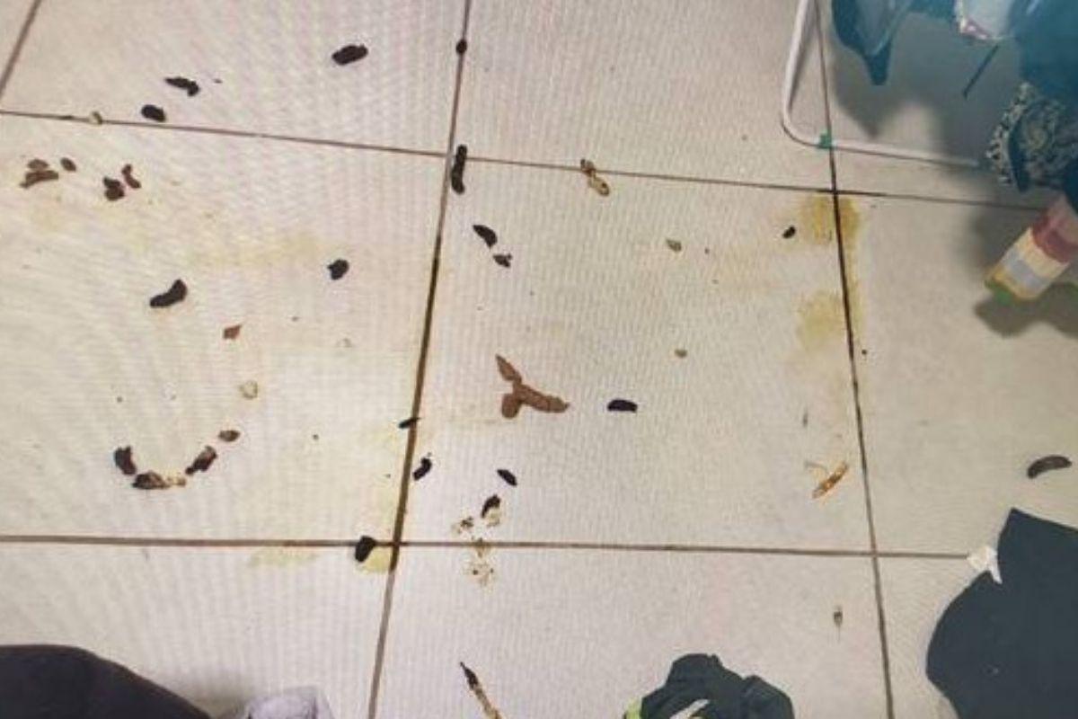 Os policiais encontraram as crianças em um ambiente sujo de fezes de cachorro