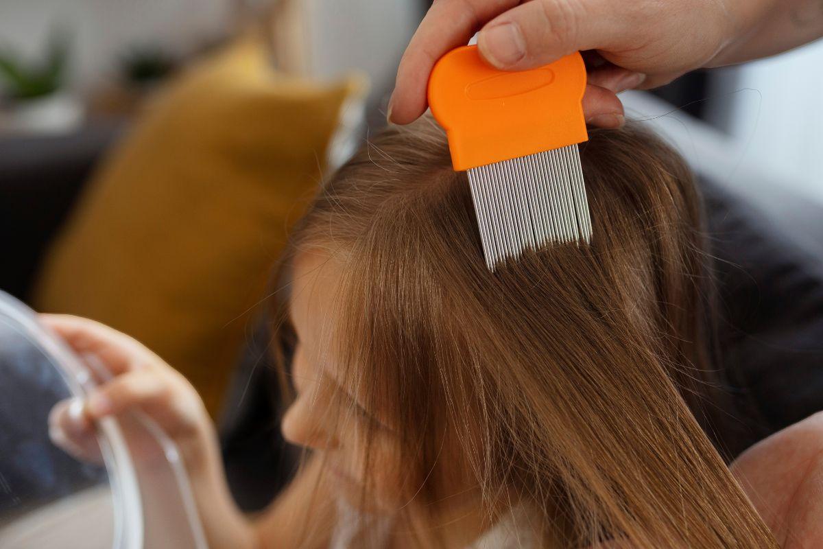Piolho, criança com piolho, menina com piolho, lêndea, pente fino piolho