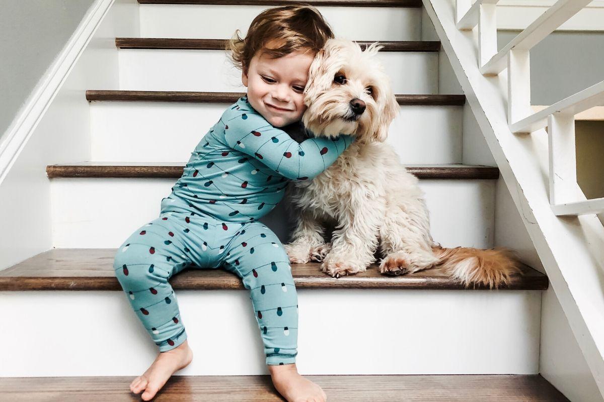 cachorro e bebê