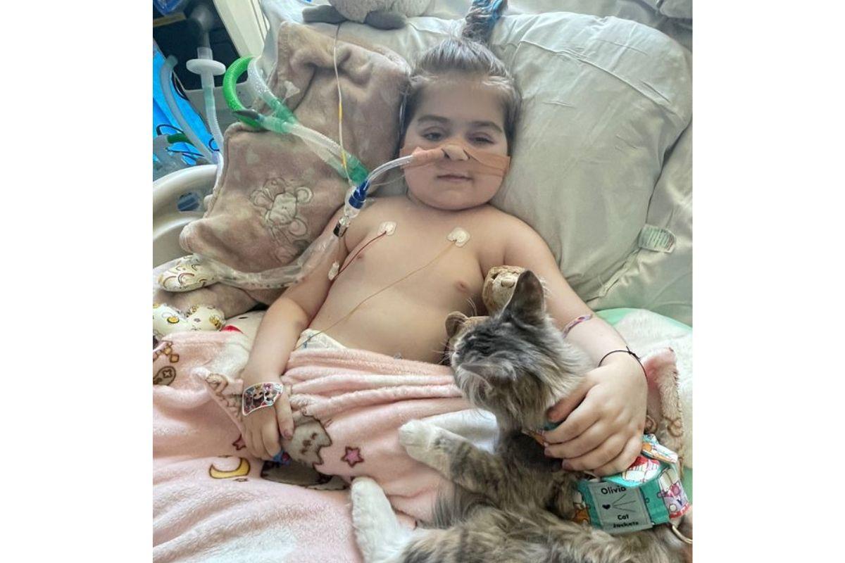 O hospital permitiu a entrada do gato da família para que a menina pudesse ver o animal