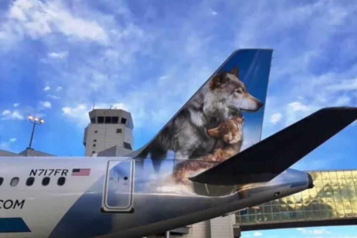 A aeronave que o bebê nasceu é carinhosamente apelidada por "The Wolves"