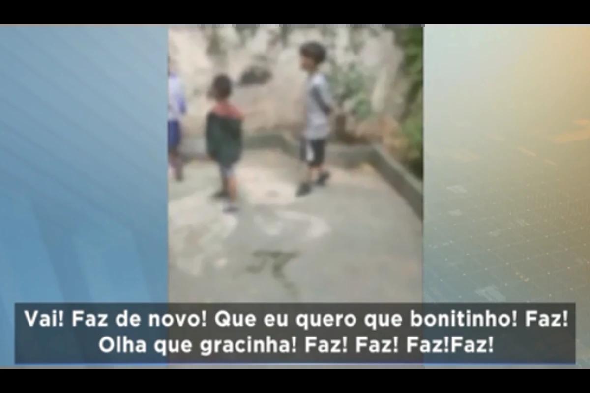 crianças brigando em escola