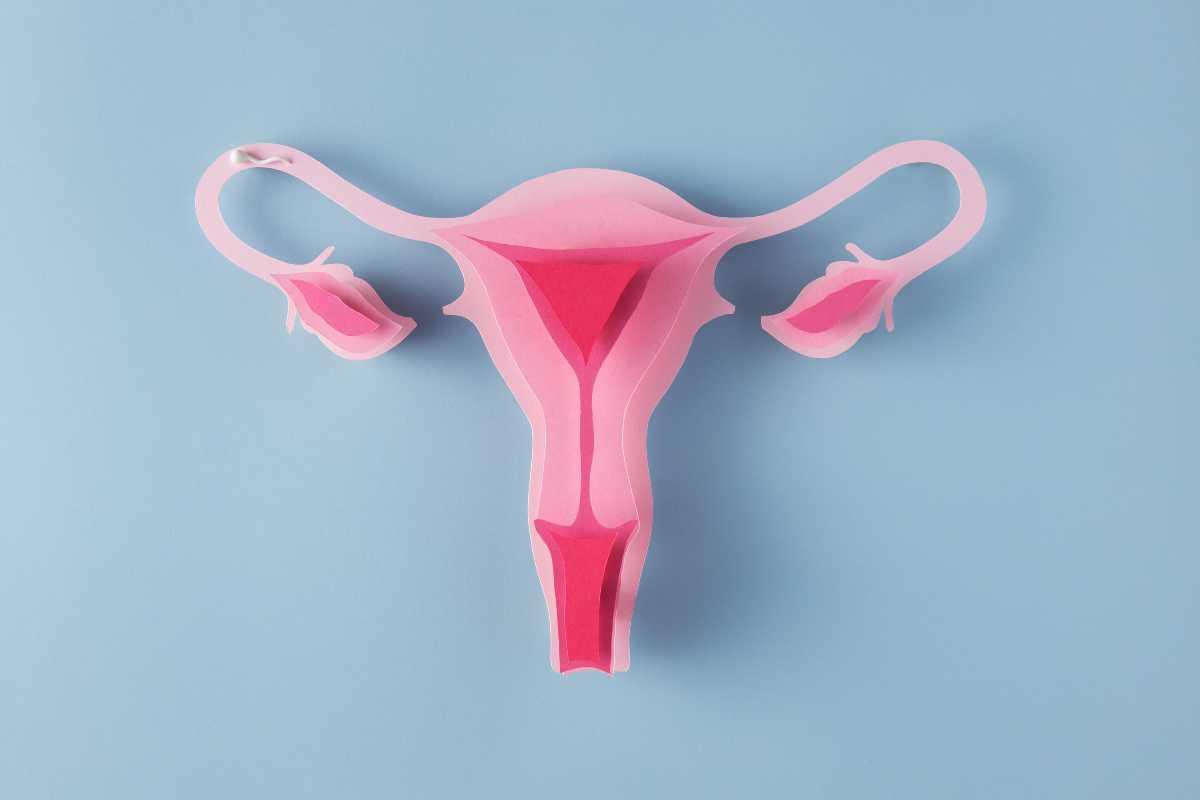 Após tentar engravidar, mulher descobre que passou em seu primeiro parto por laqueadura não autorizada (Foto: Freepik)